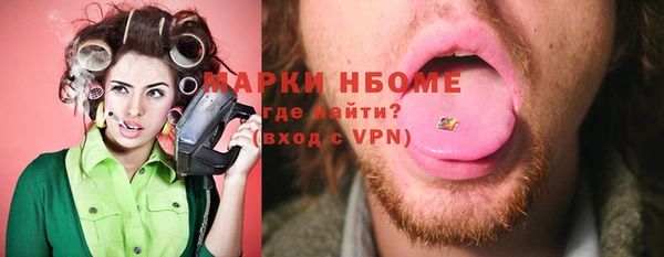 индика Балахна