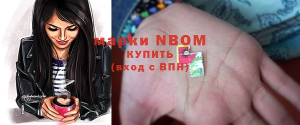 индика Балахна