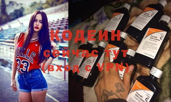 индика Балахна