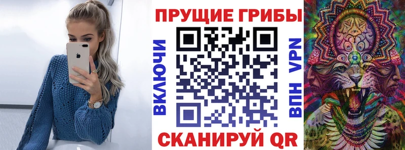 Псилоцибиновые грибы Magic Shrooms  где купить   Балтийск 