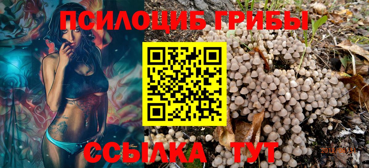 наркошоп  Вход с VPN  Балтийск  Галлюциногенные грибы Psilocybine cubensis 