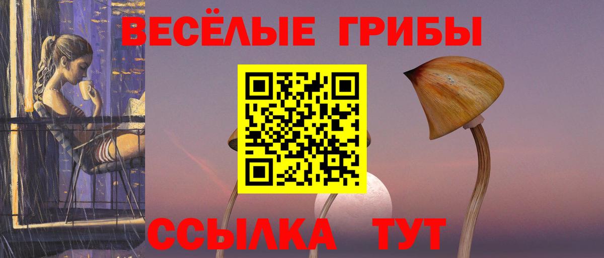Псилоцибиновые грибы MAGIC MUSHROOMS Балтийск
